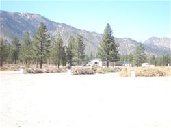 Biomass Pile Web Page_thumb.jpg