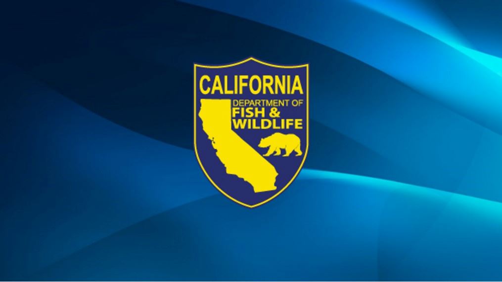 CA fish and wildife logo