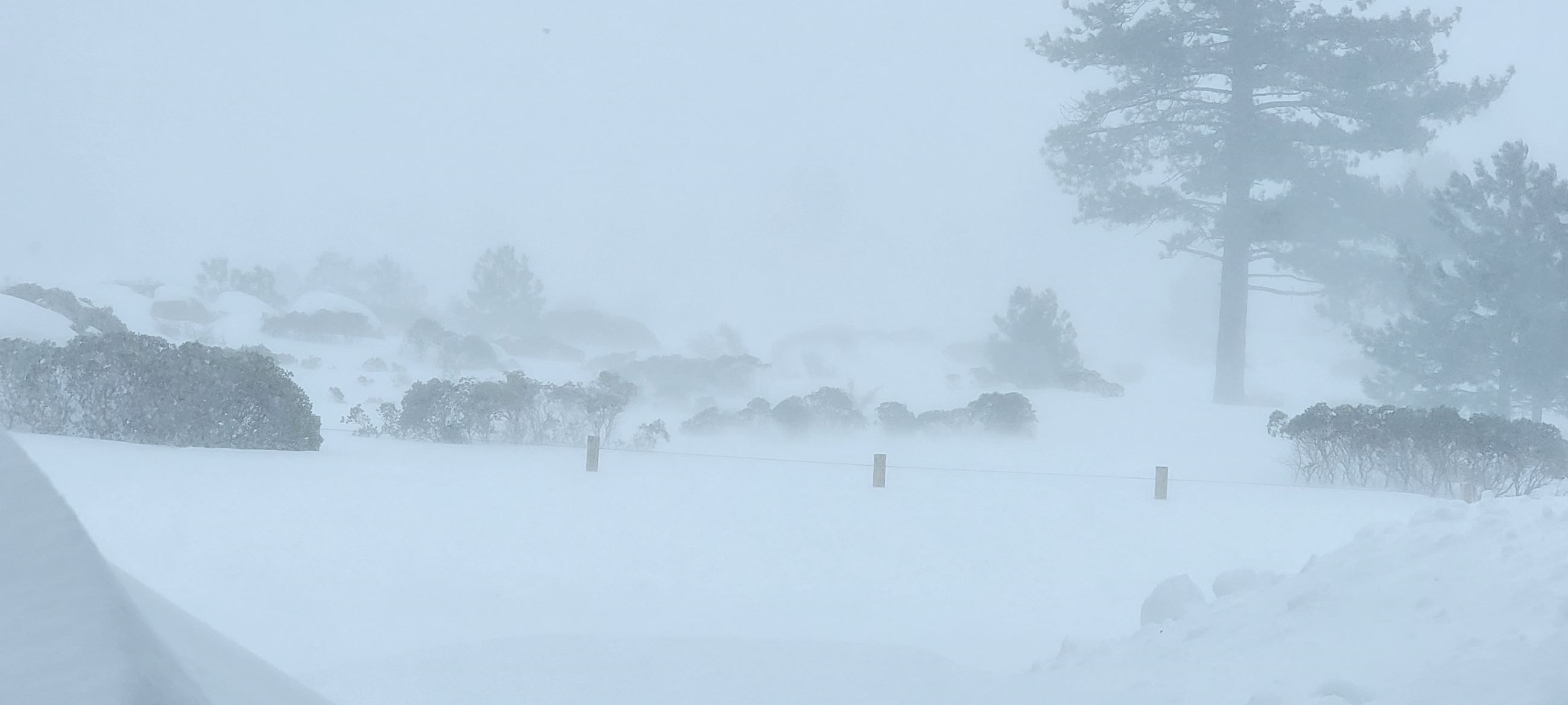 Blizzard, February 2023