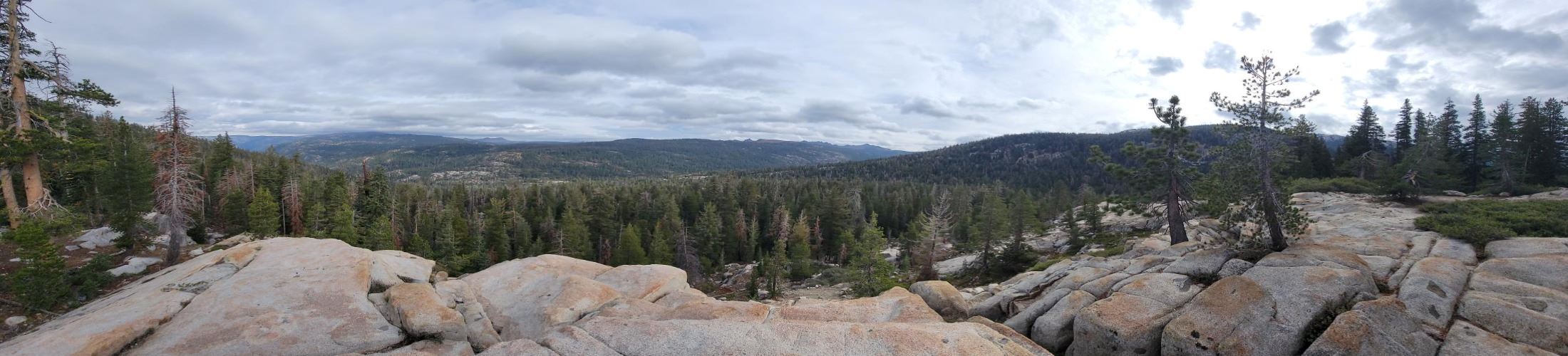 Pacific Grade overlook